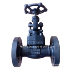 DIN Forged Carbon Steel A105 Flange Connection End Globe Valve